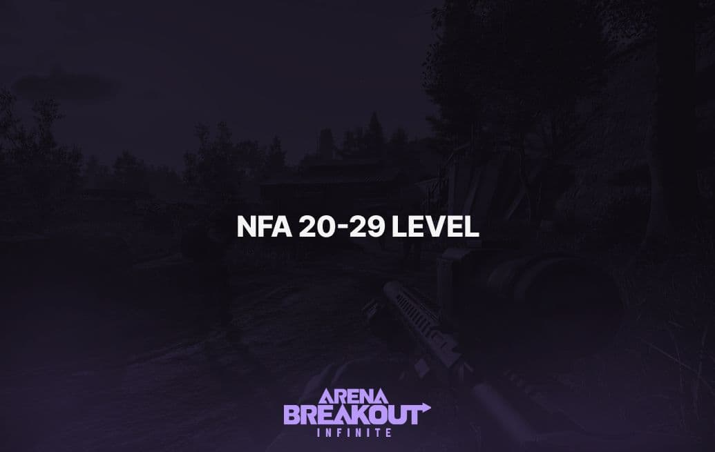 Arena Breakout: Infinite (NFA 20-29 Level)