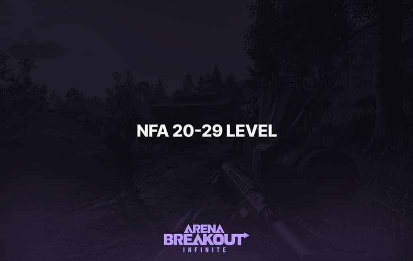 Arena Breakout: Infinite (NFA 20-29 Level)