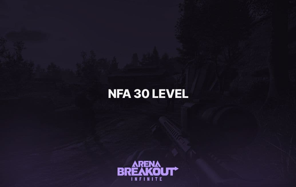 Arena Breakout: Infinite (NFA 30 Level)
