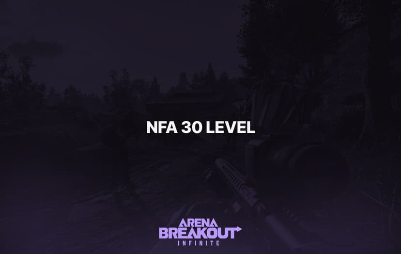 Arena Breakout: Infinite (NFA 30 Level)